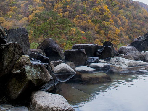栃木県日光市足尾町5488