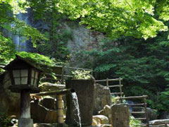 熊本県阿蘇郡南阿蘇村河陽2331