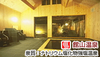 館山温泉 ホテル川端