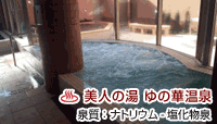 鹿島セントラル天然温泉 美人の湯 ゆの華