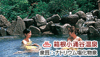 箱根ホテル小涌園