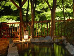 栃木県那須塩原市塩原323