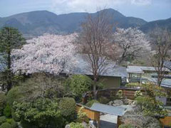 神奈川県足柄下郡箱根町仙石原1284