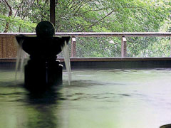岐阜県下呂市湯之島260-1