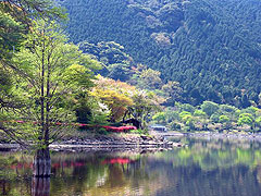 鹿児島県薩摩川内市祁答院町藺牟田1806