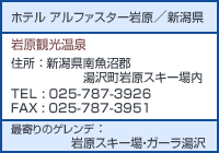 �z�e�� �A���t�@�X�^�[�⌴