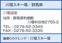 ���X�L�[��