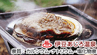 磯料理・海辺の湯の宿 平鶴