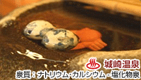 丹波屋旅館