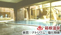 伊東園ホテル 箱根湯本
