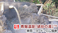 ホテル静養園