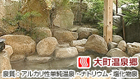 ホテル 夢の湯