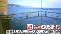 磯料理・海辺の湯の宿 平鶴