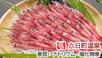 ニューホテル越路荘