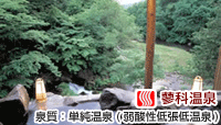 蓼科温泉ホテル 親湯