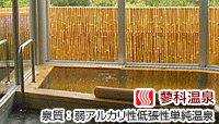 コロシアム・イン・蓼科