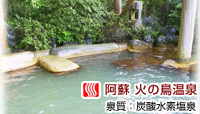 欧風料理宿 ログ山荘 火の鳥