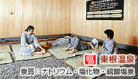 たびやかた嵐湯