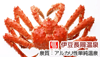 ホテルサンバレー伊豆長岡