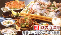 湯元館 酔洋