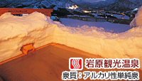 ホテル アルファスター岩原