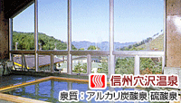 信州穴沢温泉 東山館