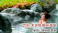 VcJ ze狴