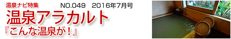 ����i�r���W�A���J���g�o�i�[