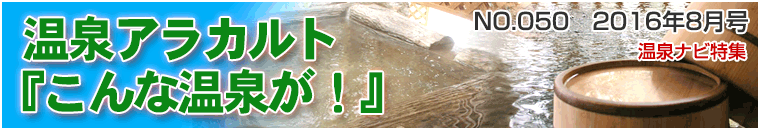 ����i�r���W�A���J���g�o�i�[