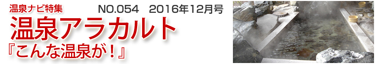 ����i�r���W�A���J���g�o�i�[