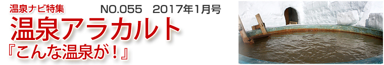 ����i�r���W�A���J���g�o�i�[