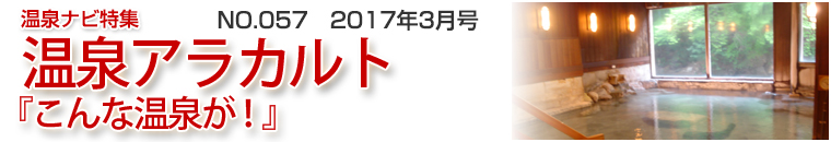 ����i�r���W�A���J���g�o�i�[