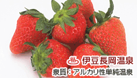 ホテルサンバレー伊豆長岡