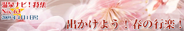 ����i�r���W4�����o�i�[