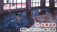 大東温泉 シートピア
