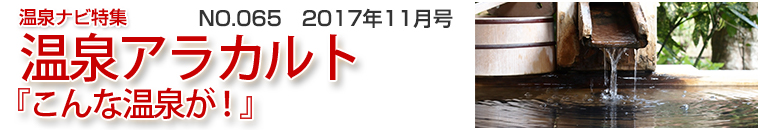 ����i�r���W�A���J���g�o�i�[