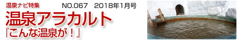 ����i�r���W�A���J���g�o�i�[