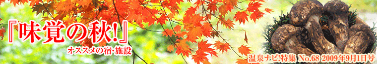 ����i�r���W9�����o�i�[