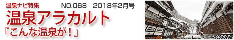 ����i�r���W�A���J���g�o�i�[