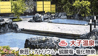 大子温泉保養センター 森林の温泉