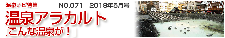 ����i�r���W�A���J���g�o�i�[