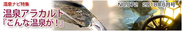 ����i�r���W�A���J���g�o�i�[