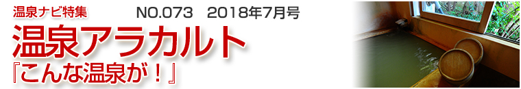 ����i�r���W�A���J���g�o�i�[