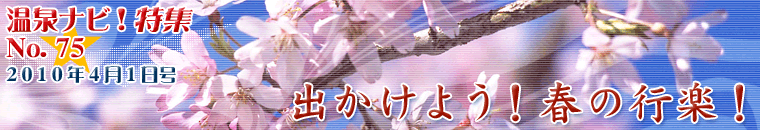 ����i�r���W4�����o�i�[