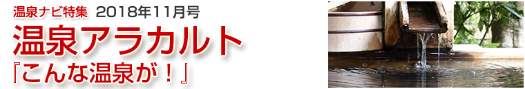 ����i�r���W�A���J���g�o�i�[