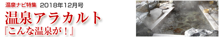 ����i�r���W�A���J���g�o�i�[