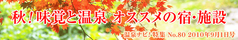 ����i�r���W9�����o�i�[