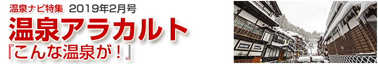 ����i�r���W�A���J���g�o�i�[