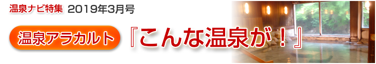 ����i�r���W�A���J���g�o�i�[