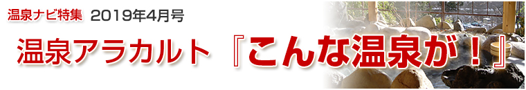 ����i�r���W�A���J���g�o�i�[